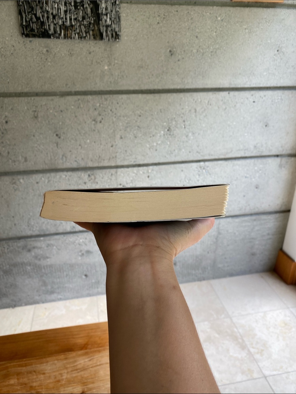 Softcover “Ellen in Pieces” Novel by Caroline Adderson - Picture 5 of 5